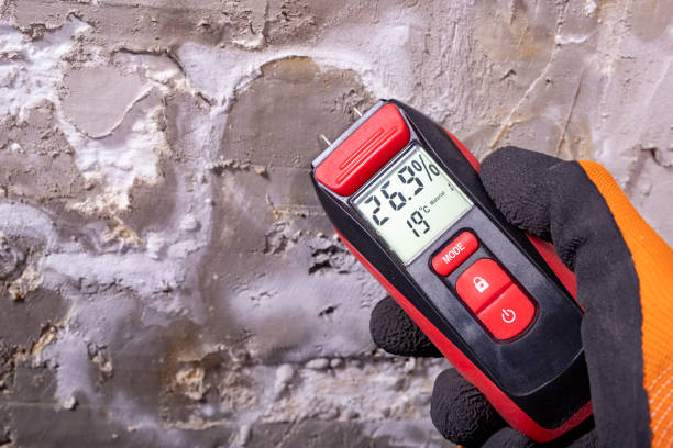 Best Mold Testing  in Silver City, NM