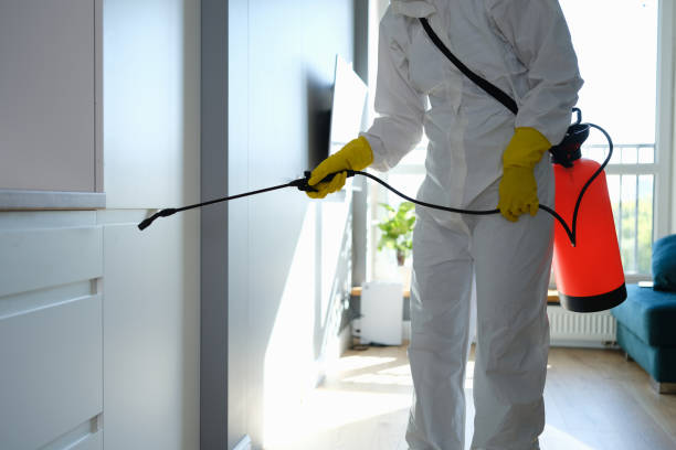 Office Mold Removal Services in Silver City, NM