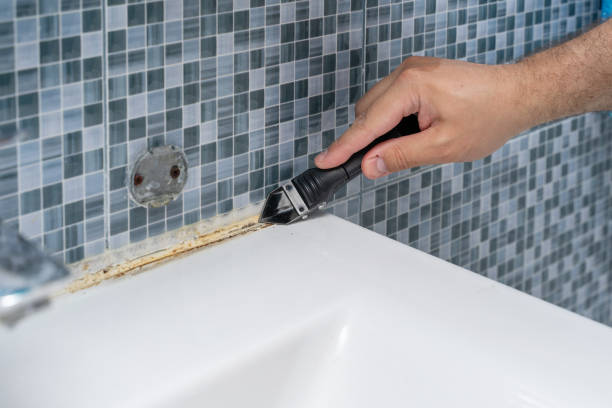 Trusted Silver City, NM Mold Removal Experts