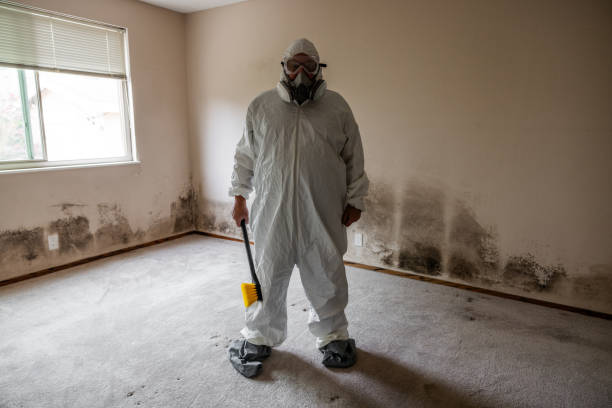 Best Office Mold Removal Services  in Silver City, NM